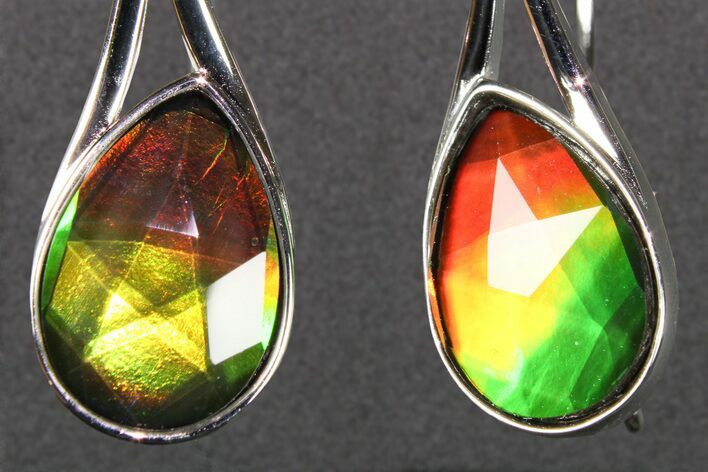 Flashy Ammolite (Fossil Ammonite Shell) Earrings with Sterling Silver #271778